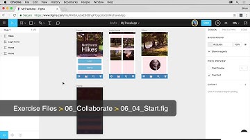 Lesson 20: Exporting assets - Learn Figma for UX/UI Design master course