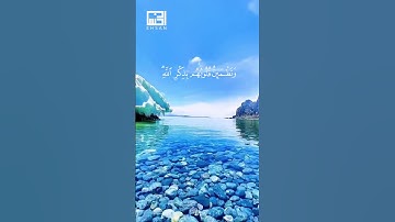 الَّذِينَ آمَنُوا وَتَطْمَئِنُّ قُلُوبُهُم بِذِكْرِ اللَّهِ ۗ…(28) #سورة_الرعد الآية 28  #faresabbad