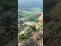 Five Minute Calm