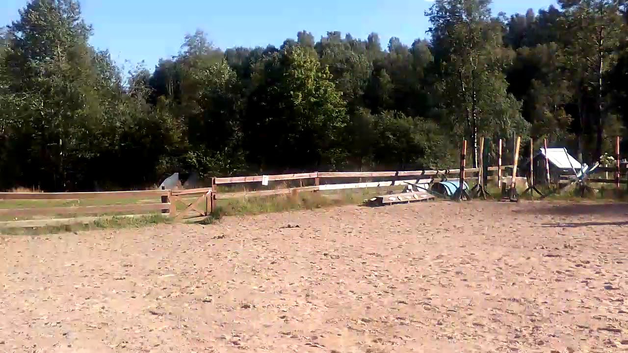 Занятия на лошади пришки выезка и канкур(2) - YouTube