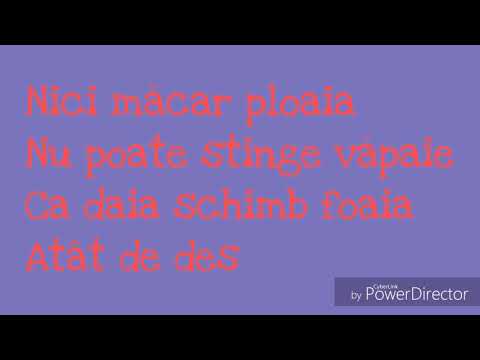 Sonny Flame feat. Conect-R-Print si cersetor(versuri)