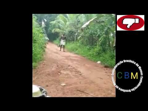 Vídeo: Como Fugir De Cobras