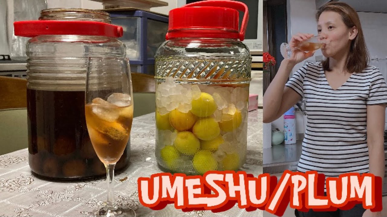 Making Homemade Umeshu Japanese Plum Wine Youtube