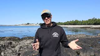 Grateful Dead Seaside Chat: Dave's Picks Volume 59