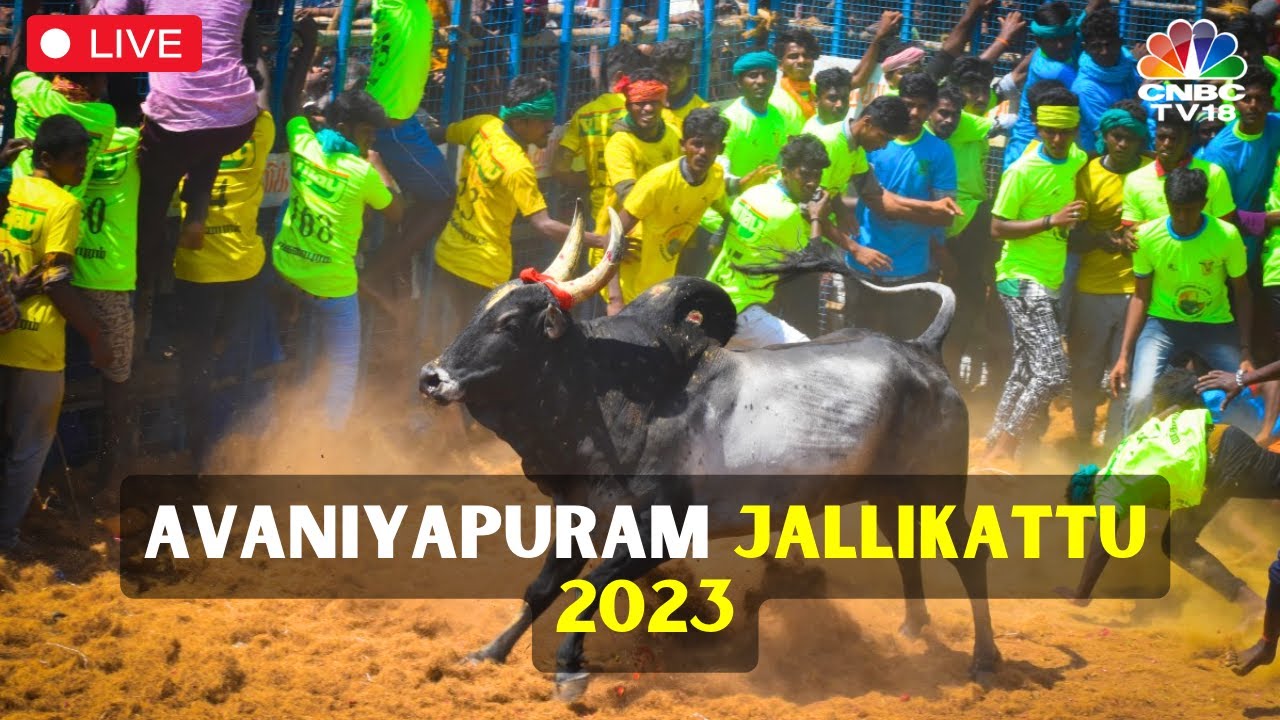 Avaniyapuram Jallikkattu LIVE Happy Pongal 2024 Madurai