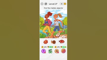 Braindom level 27 Find the hidden objects!