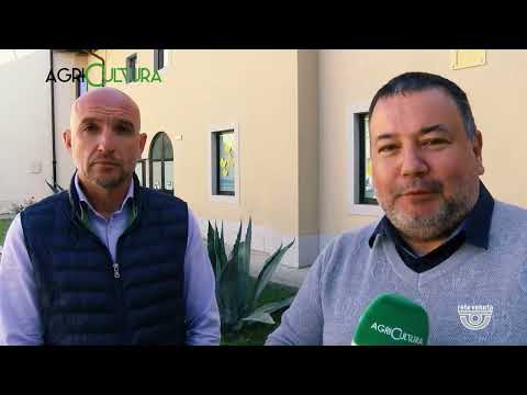 AGRICULTURA | 04/10/2025