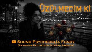 🎧 Üzülmedim Ki 🎧Anatolian Psychedelia Modern Arrange| Azer Bülbül’e Saygıyla…Ülbül