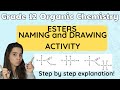 Esters Grade 12 Chemistry: Naming and drawing Esters Activity