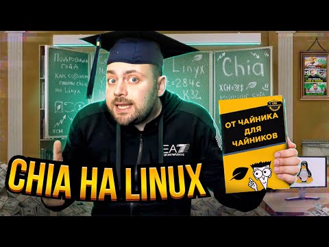 Video: Pamati Linux terminālim: 3 soļi Video: Pamati Linux terminālim: 3 soļi