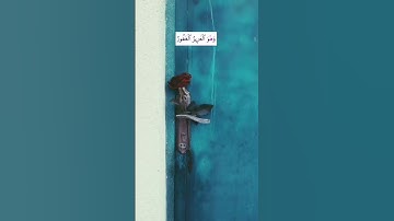 برواية الدوري عن أبي عمرو الشيخ الحصري