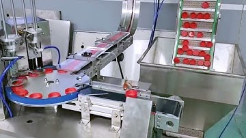 fully automatic two heads caps precut wads inserting wadding equipment,caps lifting system