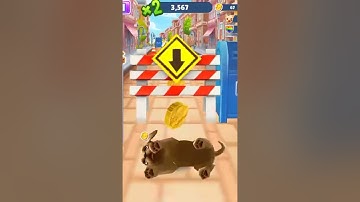 Pet Run - Puppy Dog Game  #OnlineGame #GamePlay #Gaming #Android & IOS Game #Online Gaming