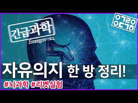 자유의지 한 방 정리! [안될과학-긴급과학]