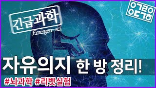 자유의지 한 방 정리! [안될과학-긴급과학]