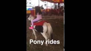 Pony ride wapping fair