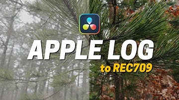 Easily Convert APPLE LOG To REC709 in Davinci Resolve 18