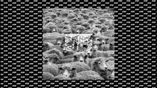 Grey Sheep II Full Album [2016]