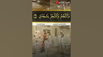 تلاوة خاشعة❤لسورة الرحمن ما تيسر للطالب الشيخ زبير الحضرمي