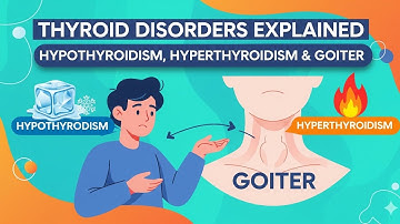 Thyroid Disorders Explained | Hypothyroidism, Hyperthyroidism & Goiter