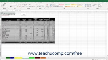 Microsoft Excel 2019 & 365 Training for Lawyers: Using the Law Firm Project Tracker, Tutorial