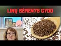 Linナウ Sト洋enys Gydo Linナウ Sト洋enys Gydo