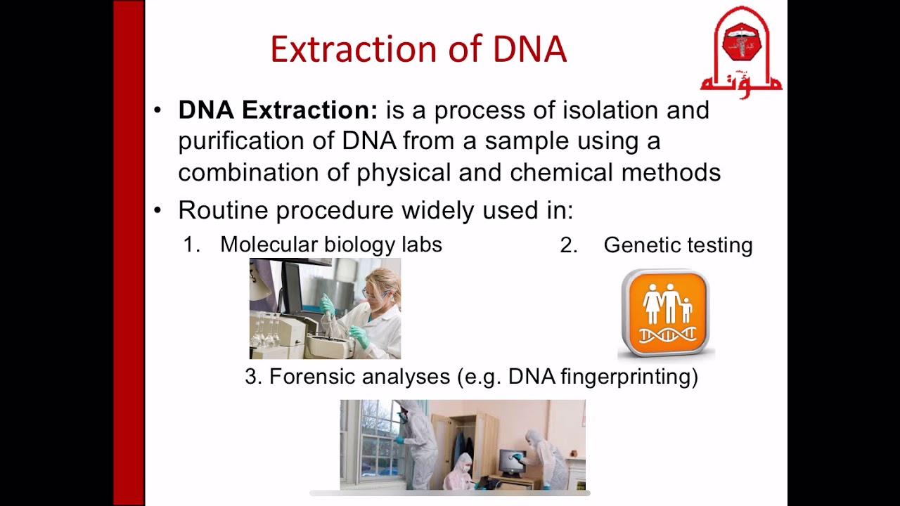 essay on molecular biology lab