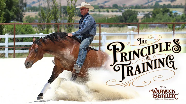 The Principles of Training Season 1 Episode 1: "Ma...