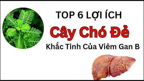 Cây Chó Đẻ Diệp Hạ Châu – Khắc Tinh Của Viêm Gan B, Thanh Nhiệt Giải Độc Gan Hiệu Quả