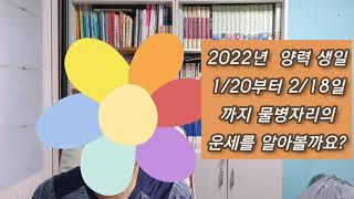 2022년 물병자리의 운세를 알아볼까요?  쪽집게 철학관