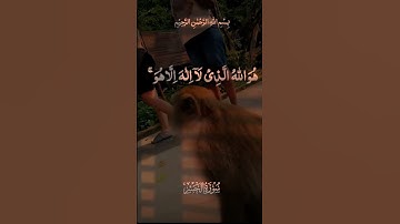 تلاوة عطرة من سورة الحشر #المصحف #القرآن_الكريم #تلاوة_خاشعة #لايك #اكسبلور #ترند #foryou #trending