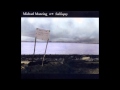 Michael Manring - The light which puts out our eyes