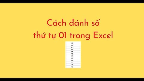Cách đánh số thứ tự 01 trong Excel