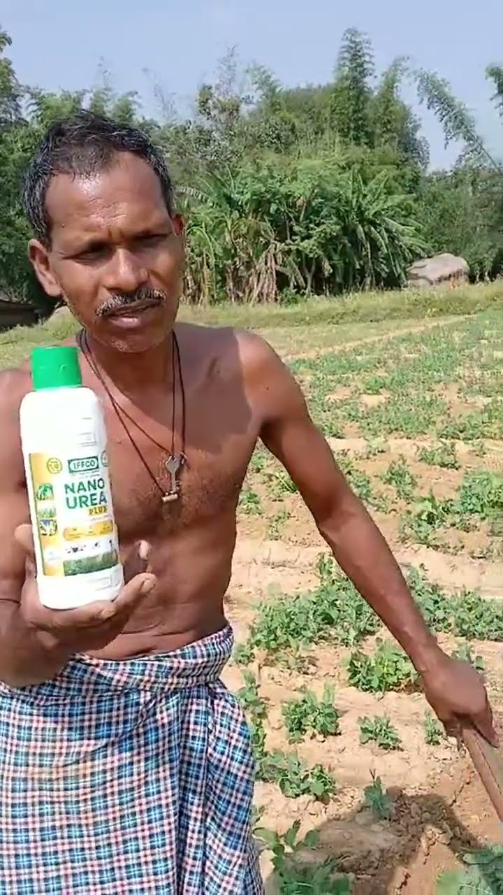 Nano Urea के इस्तेमाल से मटर की बंपर पैदावार, Jharkhand का किसान क्या बोला | वनइंडिया हिंदी