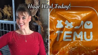 #104 Temu Haul Video #2 With Tons Of Silicone Molds!