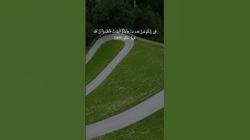 سوره البقره الايات 208 209