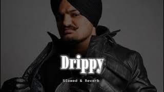 Drippy - Slowed & Reverb - Sidhu Moose Wala X AR Paisley