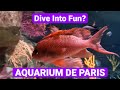 Explore paris  would you spend 22 to see colorful fish  