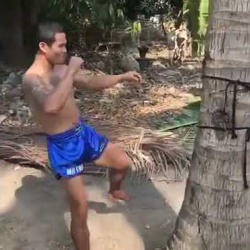 Muay Thai Shin Conditioning with Palm Tree 😮