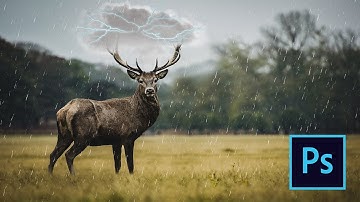 Deer - Photoshop Manipulation Tutorial - Surreal Fine Art