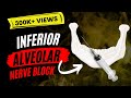 Inferior Alveolar Nerve block