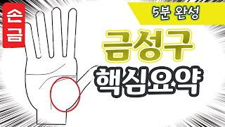 【손금】5분안에 금성구 완벽 정리｜손금보는남자