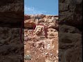 مجسم رأس أسد يدل على مغارة محمية اشارات الدفائن علم تحليل الاشارات مد مجسم رأس أسد يدل على مغارة محمية اشارات الدفائن علم تحليل الاشارات مد