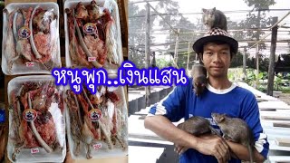 วิธีเลี้ยงหนูพุก#สูตรสำเร็จ ไม่ต้องลองผิดลองถูก จบในคริปเดียว