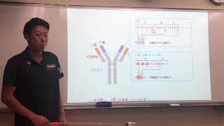 210909 免疫no.5 抗体の多様性