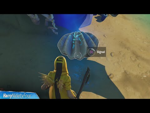 Vídeo: Explicação Da Localização Da Missão Fortnite Coral Buddies