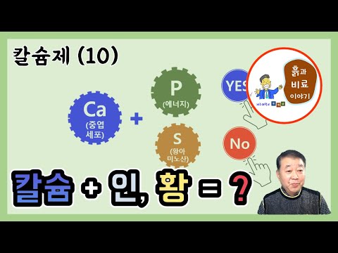 칼슘제(10) - 칼슘과 인산, 칼슘과 황을 혼합해도 될까?