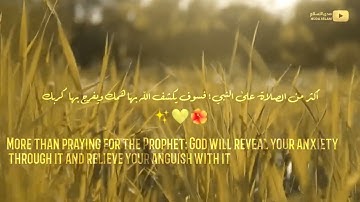 إن الله وملائكته يصلون على النبي..|| رعد الكردي|| حالات واتس اب قرآن كريم 🎧❤️ | Quran status