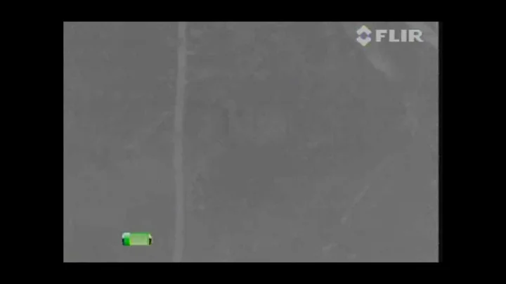 The Brown Footage