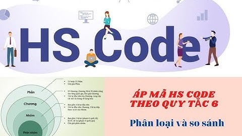 Phân loại hàng hóa theo quy tắc psr và pe năm 2024